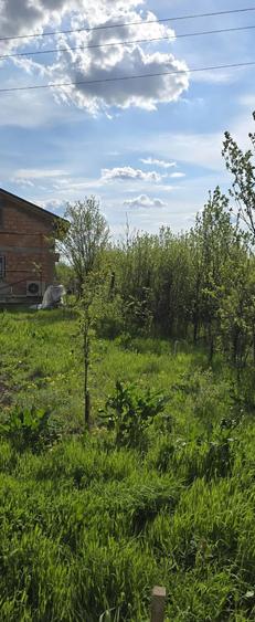 Vinzare teren intravilan - 6
