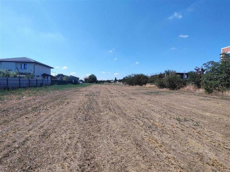 VANZARE TEREN INTRAVILAN  MAGURELE  2530 mp zona CODRULUI - 3