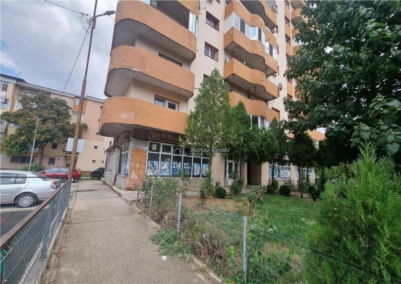 Spatii Comerciale Alexandria Str Dunarii - 15