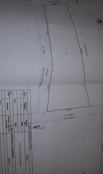 Teren  intravilan 3000 mp, Branesti, 75 E/mp, Toate utilitatile - 1