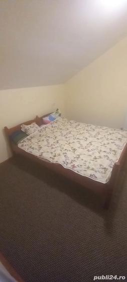 Vand casa de locuit, toate utilita?ile, lac de pescuit - 4