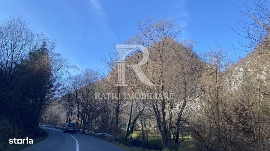 OPORTUNITATE DE INVESTI?IE | TEREN INTRAVILAN | 1.500 MP | APROAPE DE - 4