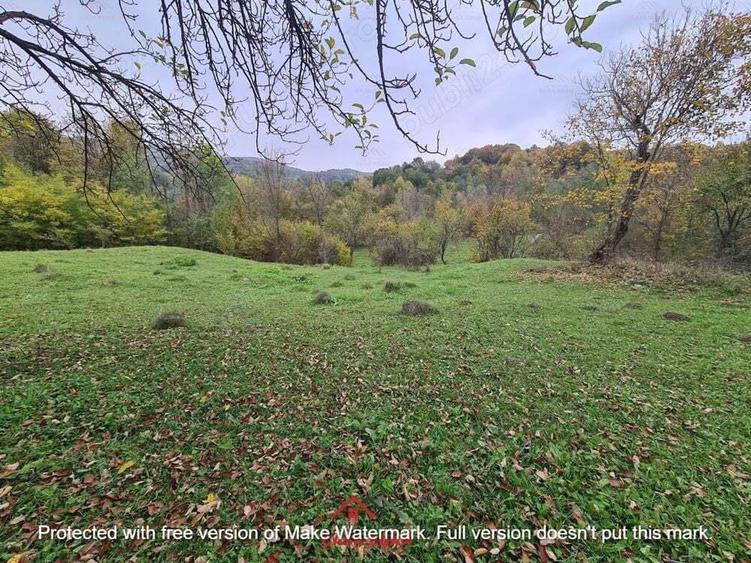 Teren intravilan in Provita de Jos 14.340 mp-- 90.000 e - 7