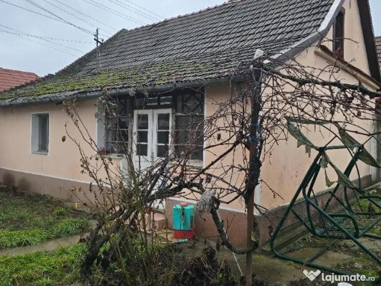 Casa plus anexa parter, Tamaseu central, gaz, sosea , ter 3040 mp - 5