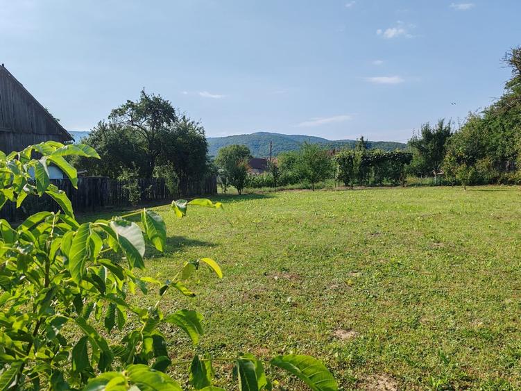 Teren Construcții intravilan de 1000 mp, în Dobârlău