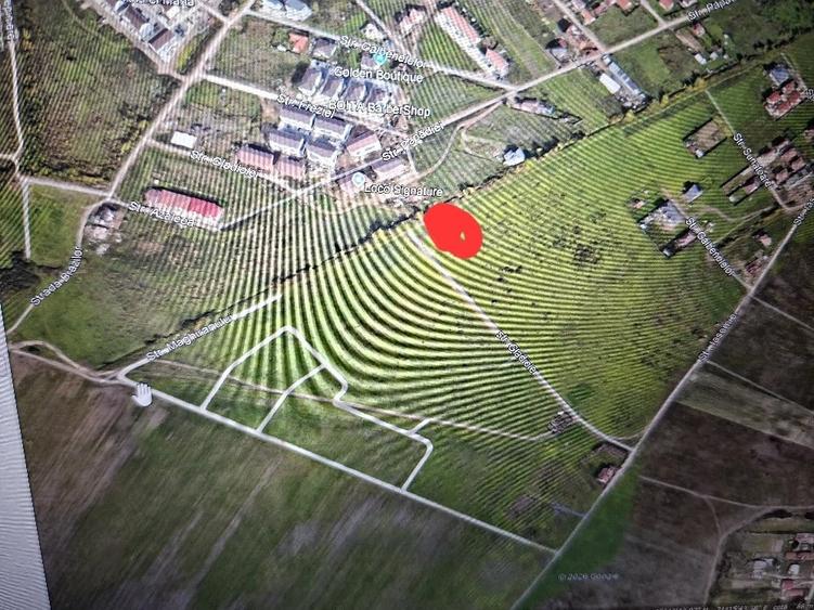 Teren de 1502 mp, în Giroc