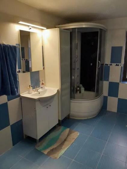 Vila P+1 de 260 mp in Dragane?ti-Olt ideala pentru familie - 10