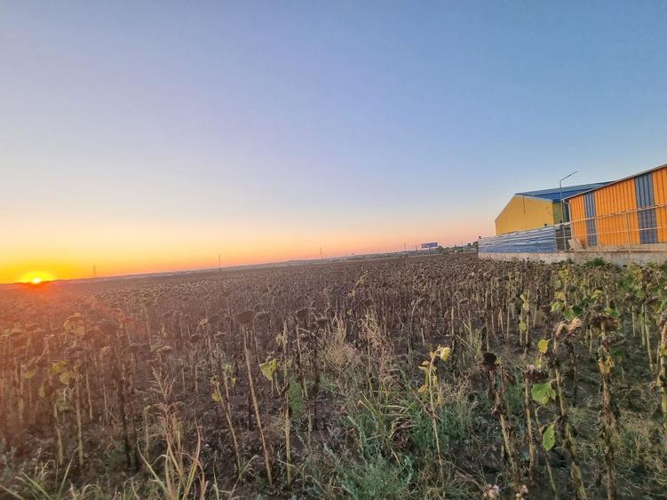 Teren agricol extravilan de 10000 mp, în Limanu