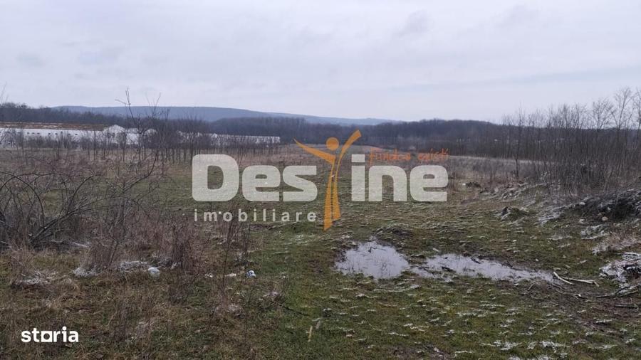 Spațiu comercial, în Scorțeni