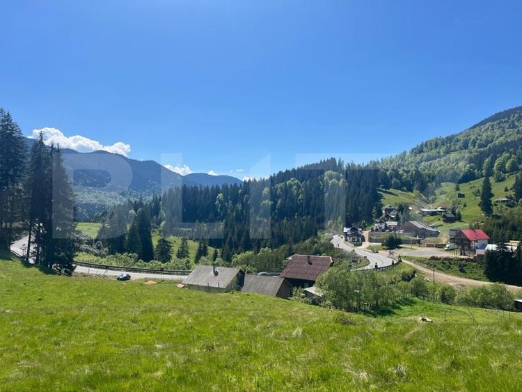 Teren Construcții intravilan de 25209 mp, în Nord
