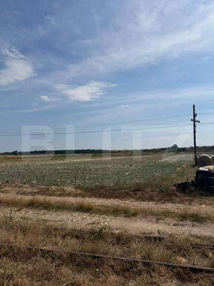 Teren Construcții intravilan de 5100 mp, în Mihai Viteazu