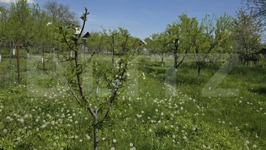O proprietate deosebita, pregatita sa devina acasa - Ghirdoveni - 1