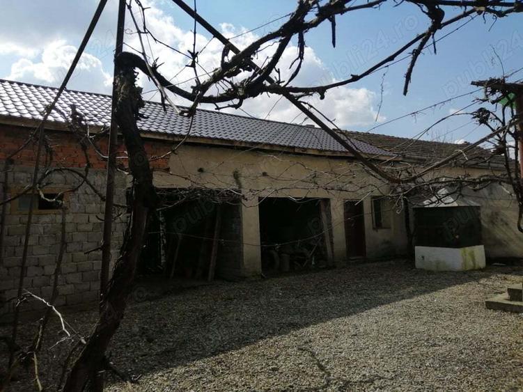 Casa si gradina de vanzare - 6