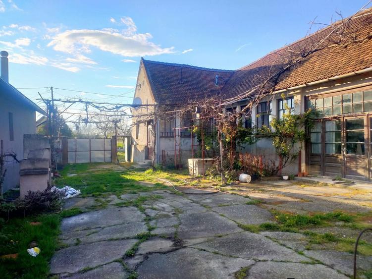 Vand casa cu gradina - 3
