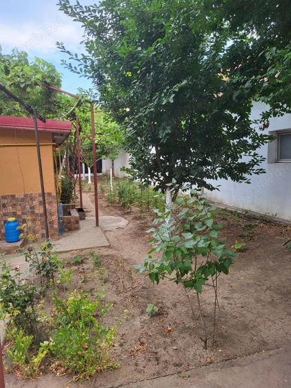 VAND casa zona coiciu - 2