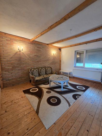 Mosnita Veche- Vila 2 apartamente- Teren 1100 mp - 9