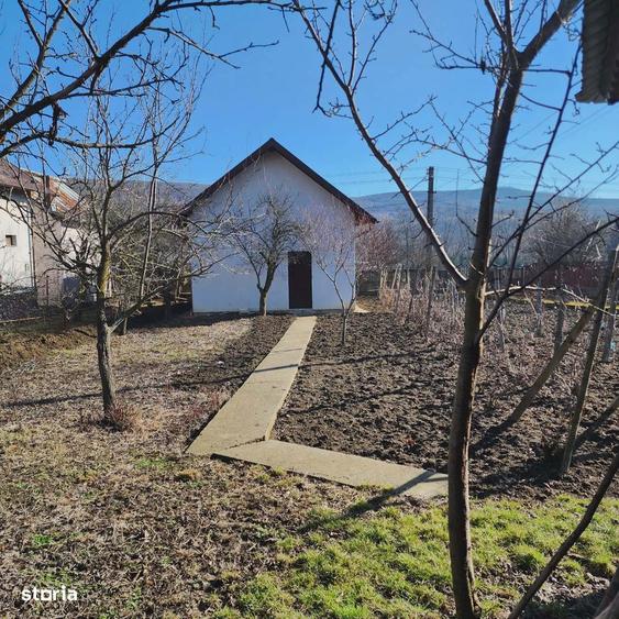 Casa detasata, 4 camere, o anexa , 2 garaje ,si subsol - 6
