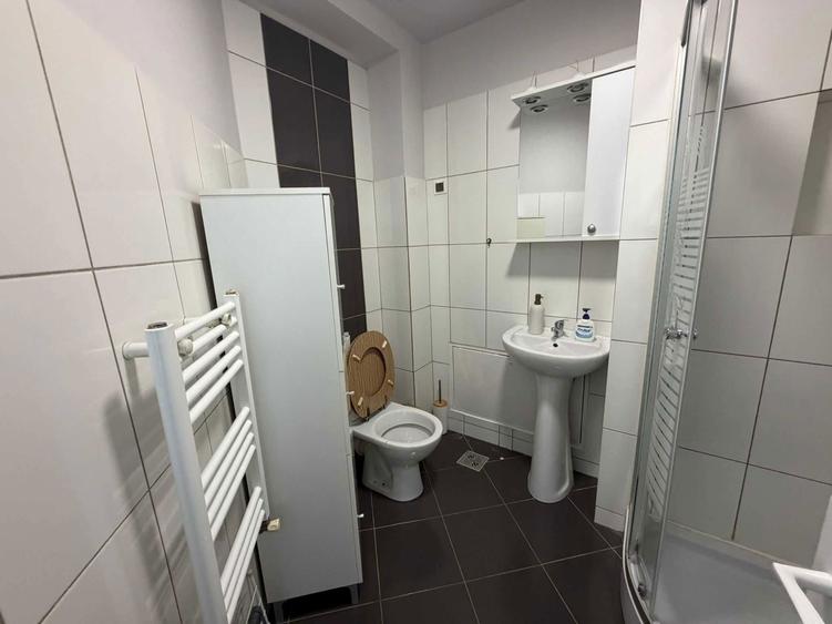 Apartament 2 camera de inchiriat PET FRIENDLY - 11