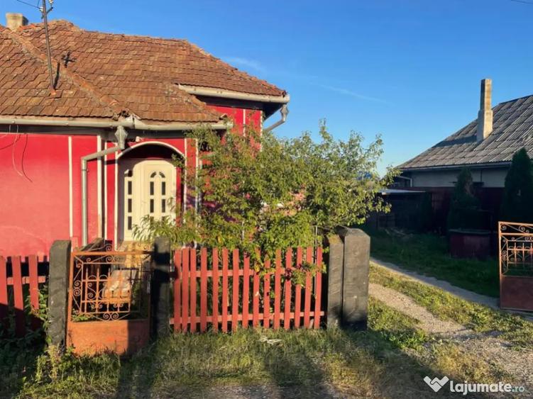 Investitie pentru liniste si oaza de verdeata - 1