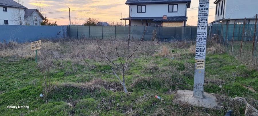 Teren intravilan Str Primaverii Berceni - 1