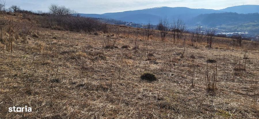 Teren Intravilan 43Ari zona Ortelec-Zalau intre case 4800eur/ar - 2