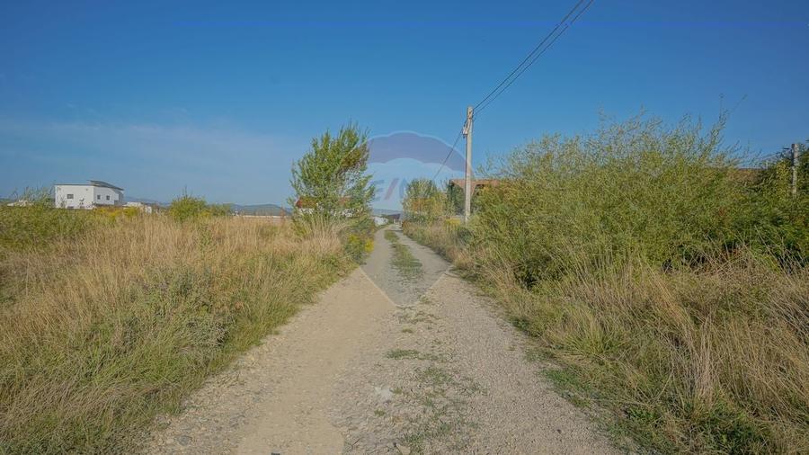 Teren de vanzare 1,000mp Cristian  - intravilan - 5