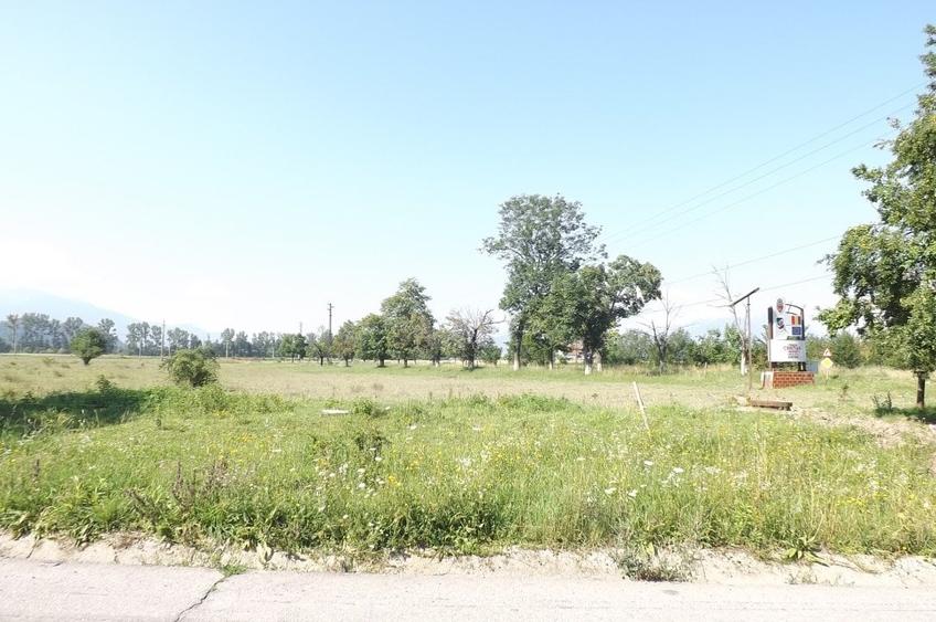 Teren de vanzare - 5