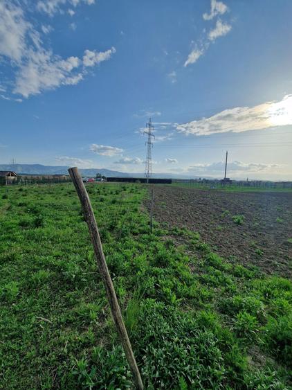 Teren extravilan intre Selimbar si Bungard cu PUZ in lucru - 4