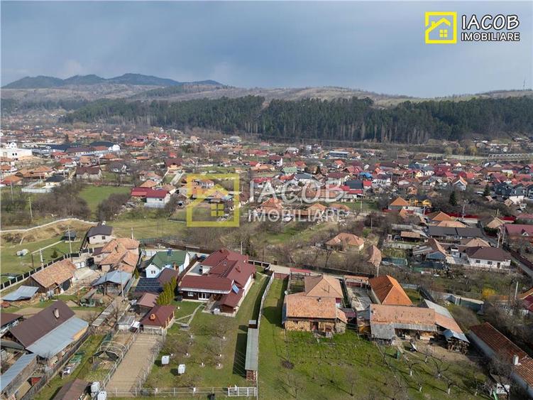 Casa, anexe, 3762 mp teren, 25000 mp padure, Comanesti, jud. Bacau - 5