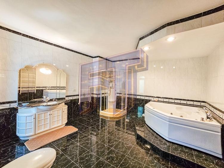 Vanzare casă/vila care refuză trecerea timpului - Zona Capitale - 9