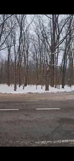 Teren langa sosea - 4