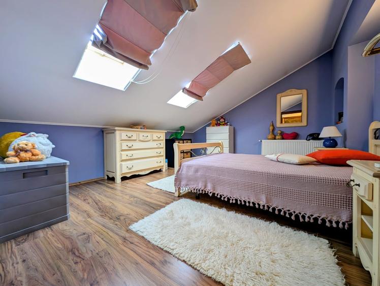 Jiului-Coralilor-Damaroaia,eleganta,robusta,garaj,curte intima,vegetatie matura - 30