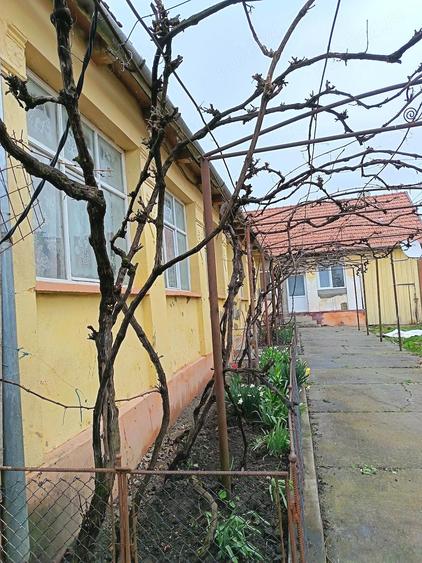 Proprietar vand casa cu gradina - 2