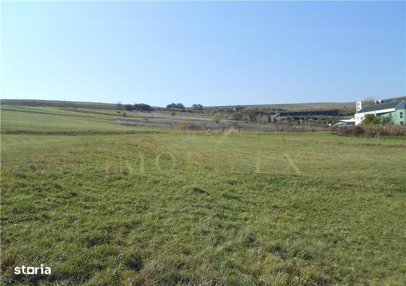 Teren intravilan 3000mp oportunitate investitionala excelenta Radaia - 1