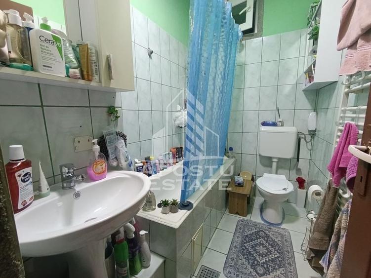 Apartament cu 4 camere, centrala proprie, 2 bai, terasa, zona Iosefin. - 12