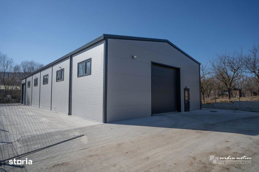 Hala singur la curte Valea Chintaului - 7