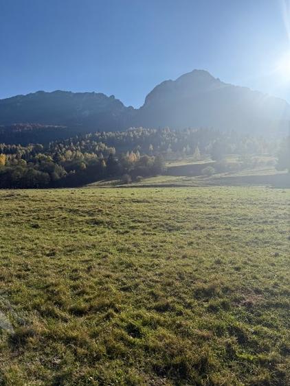 Vând teren zona Plaiul foi din Zărnești cu priveliște la Munții Piatra Craiului - 5