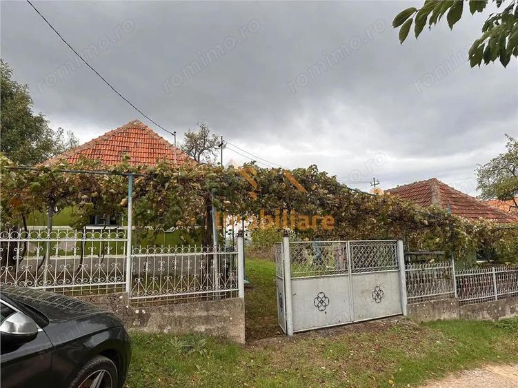 TEREN | 9341 MP | BALNACA GROSI | BIHOR - 4