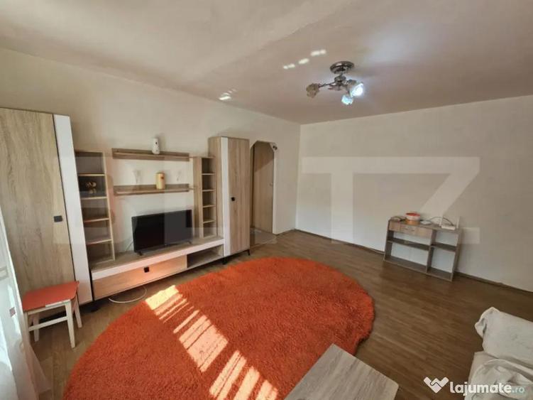 Apartament 2 camere - zona Independentei - 5