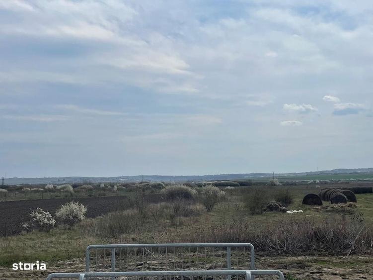 Teren industrial de vanzare Biharia, Bihor - 1