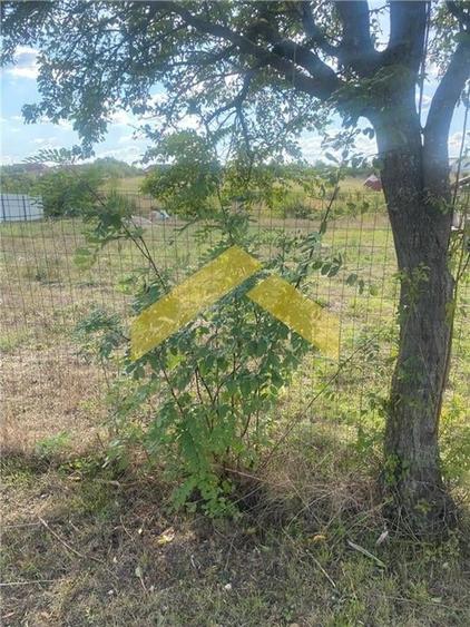 Casa 3 camere de vanzare sat Firiteaz - 12