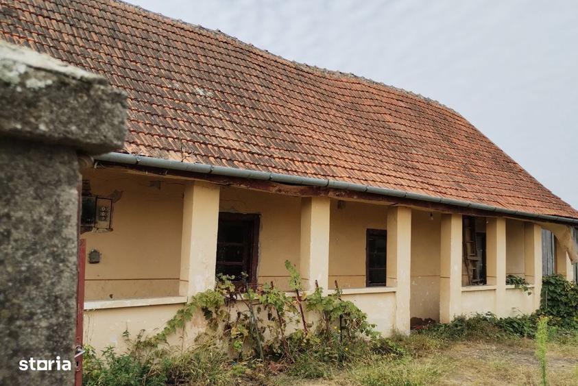 Casa veche din 1955 si teren intravilan 6153 mp, Sinersig,Jud Timis - 7
