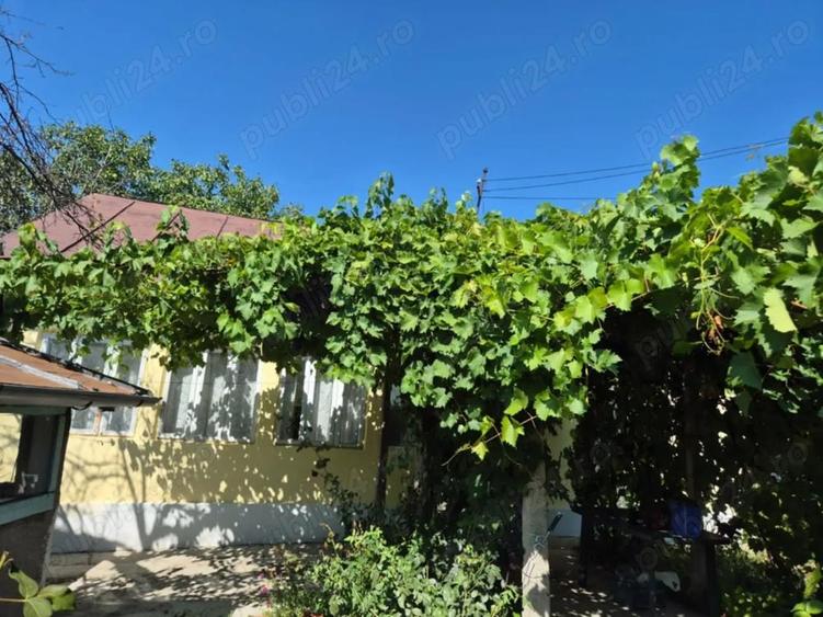 Vand casa cu teren 1000 mp sat Valea Cotesti, com Cotesti, jud. Vrancea - 3