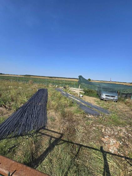 Terenuri de vanzare - Ilfov, Copaceni - 5