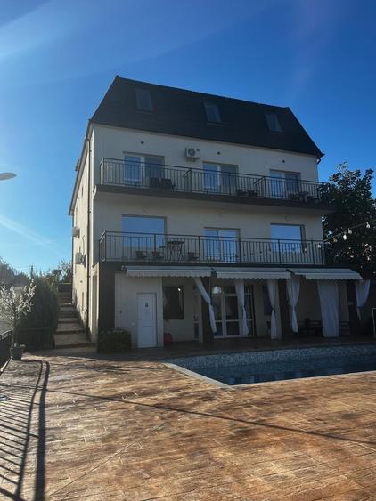 Vila deosebita de inchiriat pe malul Lacului Snagov localitatea Vladiceasca - 11