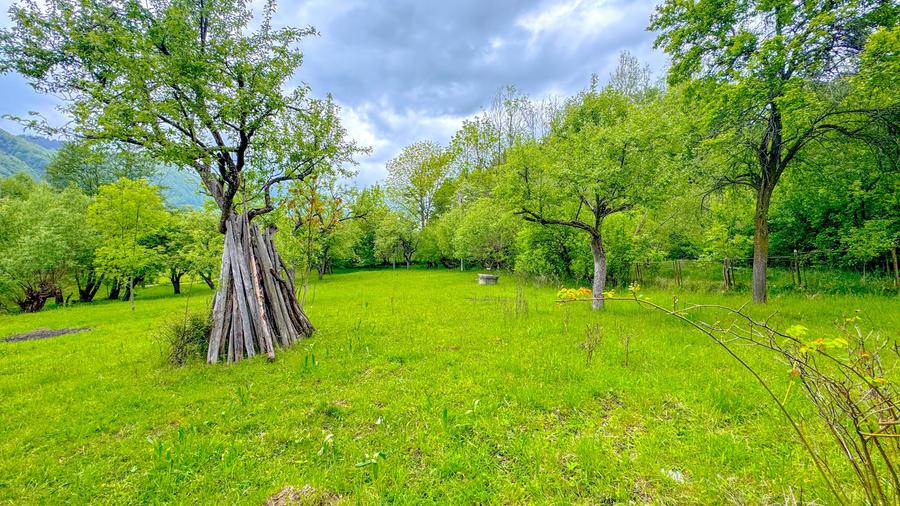 Teren 1500mp, intravilan cu utilitati, in proximitatea complexului Vila Bran - 7