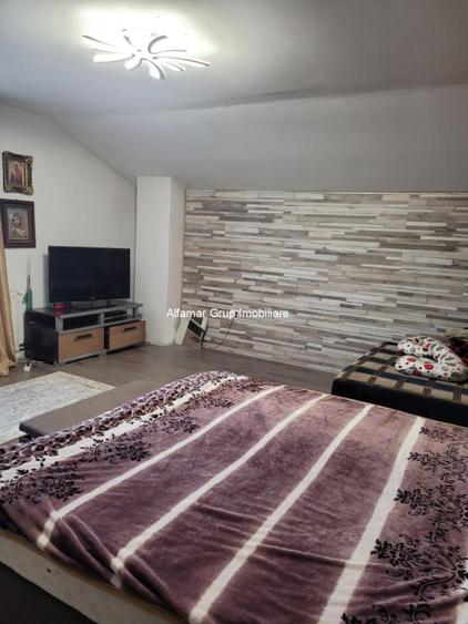 Vanzare proprietate cu 2 case Zurbaua- Dragomiresti Vale - 2