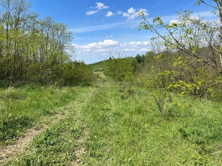 Lugoj Teren 5.300 Mp., Dealul Viilor, Priveliste Impresionanta - 5