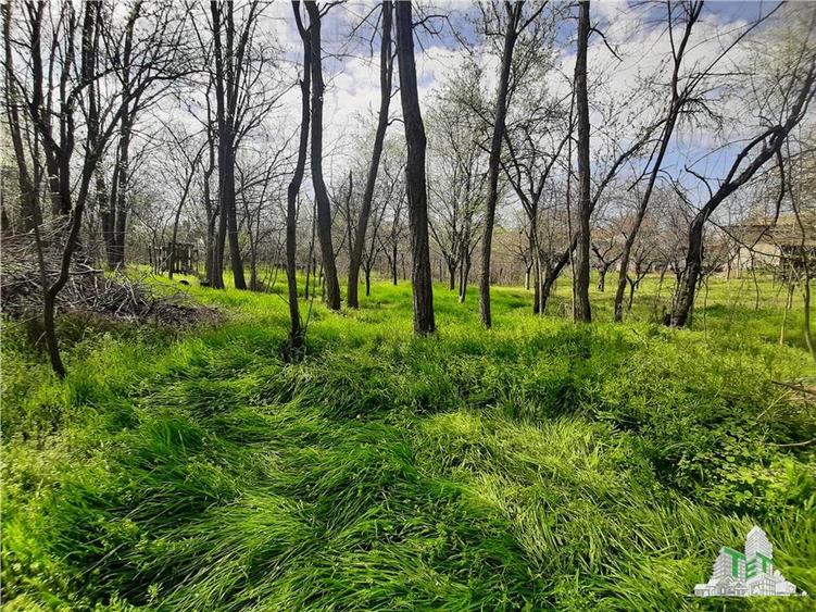 Casa la curte cu livada/teren 1274 mp in Bragadiru - 28