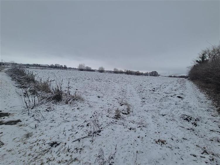 Teren intravilan Moara Bulai 51 ari - 1